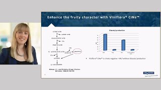 Gusmer Enterprises  Chr Hansen Wine Seminar Mastering Malolactic Fermentation Part 2 of 2 [upl. by Sylado]