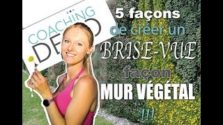 5 façons de créer un brise vue façon mur végétal [upl. by Nerot]