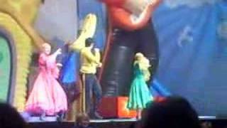 the wiggles live 2007 [upl. by Tselec40]