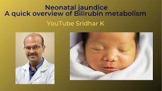 A quick overview of bilirubin metabolism and how it contributes to neonatal jaundice Dr Sridhar K [upl. by Groos]