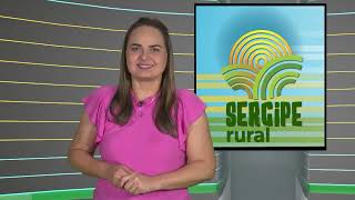 SERGIPE RURAL  PROGRAMA 482 [upl. by Ainaled838]