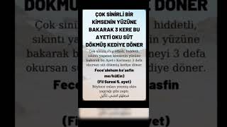 Sinirli birini sakinleştirmek için okunacak dua  sinirli birine okunacak dua  dualar  sureler [upl. by Ecad]