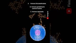 Repasa fisiología Endocrina  Preguntas y respuestas de la fisiología del sistema endocrino [upl. by Ecniv232]