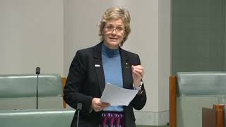 Zali Steggall MP talks to the Education Minister about Overseas Students Amendment [upl. by Canning935]