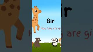 zoo Animals Animation zoo wonderworaldAnimationTv [upl. by Joanne]