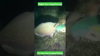 Night Dive Fishing spearfishing nightdivespearfishing danggit fishing [upl. by Isabelita]