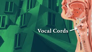 Asymmetrical Vocal Cord Movement [upl. by Goldshell]