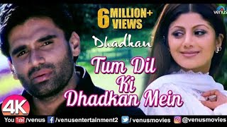 Tum Dil Ki Dhadkan Mein Rehte Ho  Dhadkan Movie Song  Shilpa Shetty Video  New Song Collection [upl. by Hadeehsar]