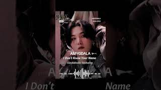 cover song AMYGDALA AGUSTD SUGA BTS🐱💜🔥😭 [upl. by Beberg135]