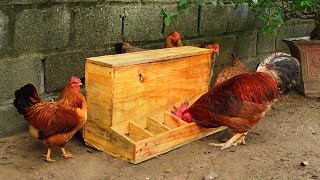 Save time with automatic wooden chicken feeder [upl. by Anniala]