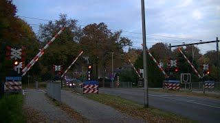 Spoorwegovergang Arnhem Presikhaaf  Dutch railroad crossing [upl. by Audrie]