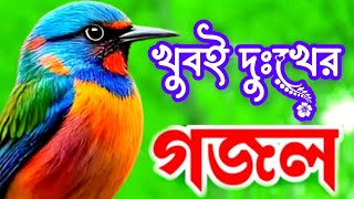 খুবই দুঃখের গজল। bangla gazal 2024 gojol gojol sundar gojol gojol bangla kolorob gojol gazal [upl. by Kacy]