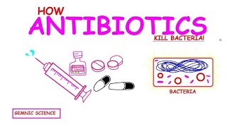 Antibiotics Explained How They Kill Bacteria and Fight Infectionsquot [upl. by Rojam]