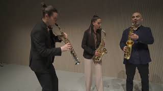 Robert Muczynski Alto sax Sonata Arr Synthèse Quartet [upl. by Orapma]