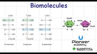 NEET Chemistry  Biomolecules  Carbohydrates [upl. by Editha]