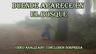 DUENDE APARECE EN EL BOSQUE [upl. by Roydd]