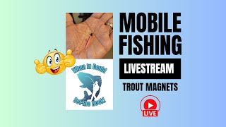 Ultralight Baitcasting  Trout Magnet Fishing Tips Mobile Fishing Livestream [upl. by Wernher280]