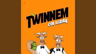 TWINNEM [upl. by Mellman183]