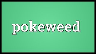 Pokeweed Meaning [upl. by Jolie472]