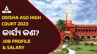 High Court ASO Odisha  Odisha High Court ASO Job Profile amp Salary  Know Full Details [upl. by Fryd131]