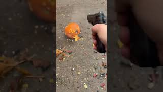 Beretta M9 Mag dump On Pumpkin November 16th 2024 Range Day Part 14 [upl. by Ahsieyk]