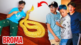 BROMA PESADA A MIS VECINOS CON UNA MEGA SERPIENTE [upl. by Anairdna]