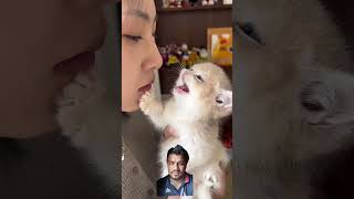 catlover video viralvideo [upl. by Valentino]