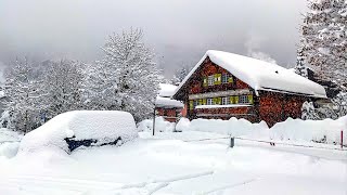 Heavy snowfall in Klosters ❄️ Switzerland 4K 🇨🇭 [upl. by Kilian]