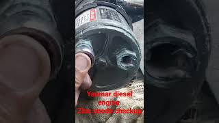 YANMAR 4LHASTP ZINC ANODES INSPECTION [upl. by Naujahs]