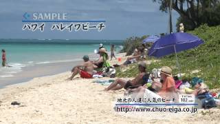 【HD】Haleiwa Beach Oahu Island Hawaii  ハワイ オアフ島 ハレイワビーチ [upl. by Ened]