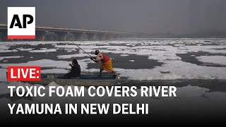 LIVE India’s sacred Yamuna River is covered in toxic foam [upl. by Bluma]