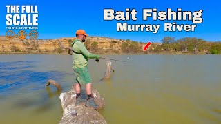 Bait Fishing Murray River From The Bank  The Full Scale [upl. by Ennaxxor]