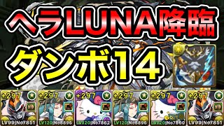 【パズドラ】デイトナ強化で楽に！アバたま集め用！全敵対応！神々の聖跡！転生ヘラLUNA降臨！1周4分台！ダンボ14！デイトナ編成で安定周回！【概要欄に立ち回りなど記載】 [upl. by Melvena]