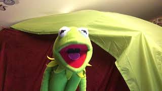 Kermit the Frog Sings Rainbow Connection [upl. by Iney]