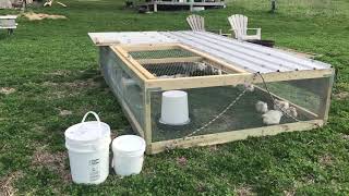 Chicken tractor for 30 meat birds [upl. by Trefor915]