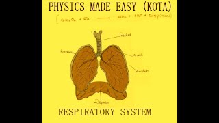 PARTII BIOLOGY HINDI NOTES RESPIRATORY SYSTEM LIVER DIGESTION ALEMENTRY CANAL FOR NEET  1 [upl. by Falkner289]