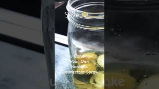 DIY disinfectant spray for cleaning and making your home fresh mom trending momlife viral [upl. by Batista]