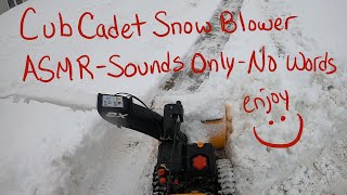 Satisfying Snow Removal  ASMR  Cub Cadet Snow Blower vs My Steep Driveway and a 2 Foot Snow Wall [upl. by Jopa407]