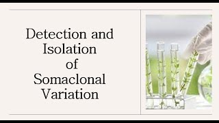 Somaclonal Variation  Isolation and Detection of Somaclonal variants  Science Jagat [upl. by Jp]