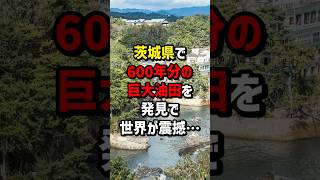 茨城県で600年分の巨大油田を発見！世界が震撼… 海外の反応 [upl. by Abert]