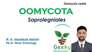 Lec 19 Oomycota Saprolegniales  Mycology  Plant Pathology  BScMSc Agriculture [upl. by Brittnee]