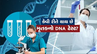 DNA એટલે શું  કેવી રીતે થાય છે મૃતકનો DNA ટેસ્ટ [upl. by Annaed]