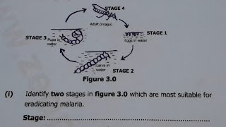 2017 ECZ Biology paper 2 question 3  malaria  life cycle of a mosquito [upl. by Solis]