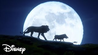 El Rey León 2019  Hakuna Matata Español Latino [upl. by Claudianus244]