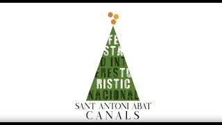 Festes Patronals a Sant Antoni Abat de Canals declarades dInterés Turístic Nacional [upl. by Asilem639]