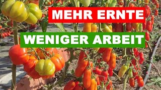 POWERPAKET FÜR MEHR ERNTE [upl. by Ycart93]