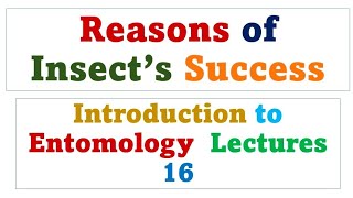 Reasons for Insects success [upl. by Fogel]