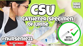 Catheter Specimen of Urine CSU with Needle  NMC OSCE 🇬🇧 nurseniezl niezl2023 jenuinehappiniz [upl. by Dyolf]