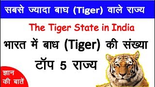 Tiger State Top 5 State  सबसे ज्यादा बाघ किस राज्य में है  Which state has the most tigers [upl. by Enyaht]