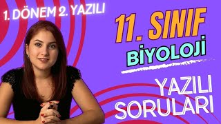 GÜNCEL 11 SINIF BİYOLOJİ 1 DÖNEM 2 YAZILIYA HAZIRLIK  PDF [upl. by Larkin]